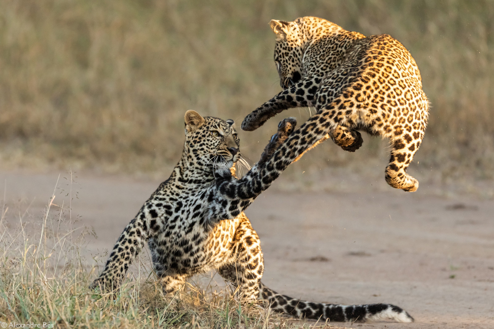 Photographer of the Year 2020 Weekly Selection: Week 18 – Gallery 3 ...