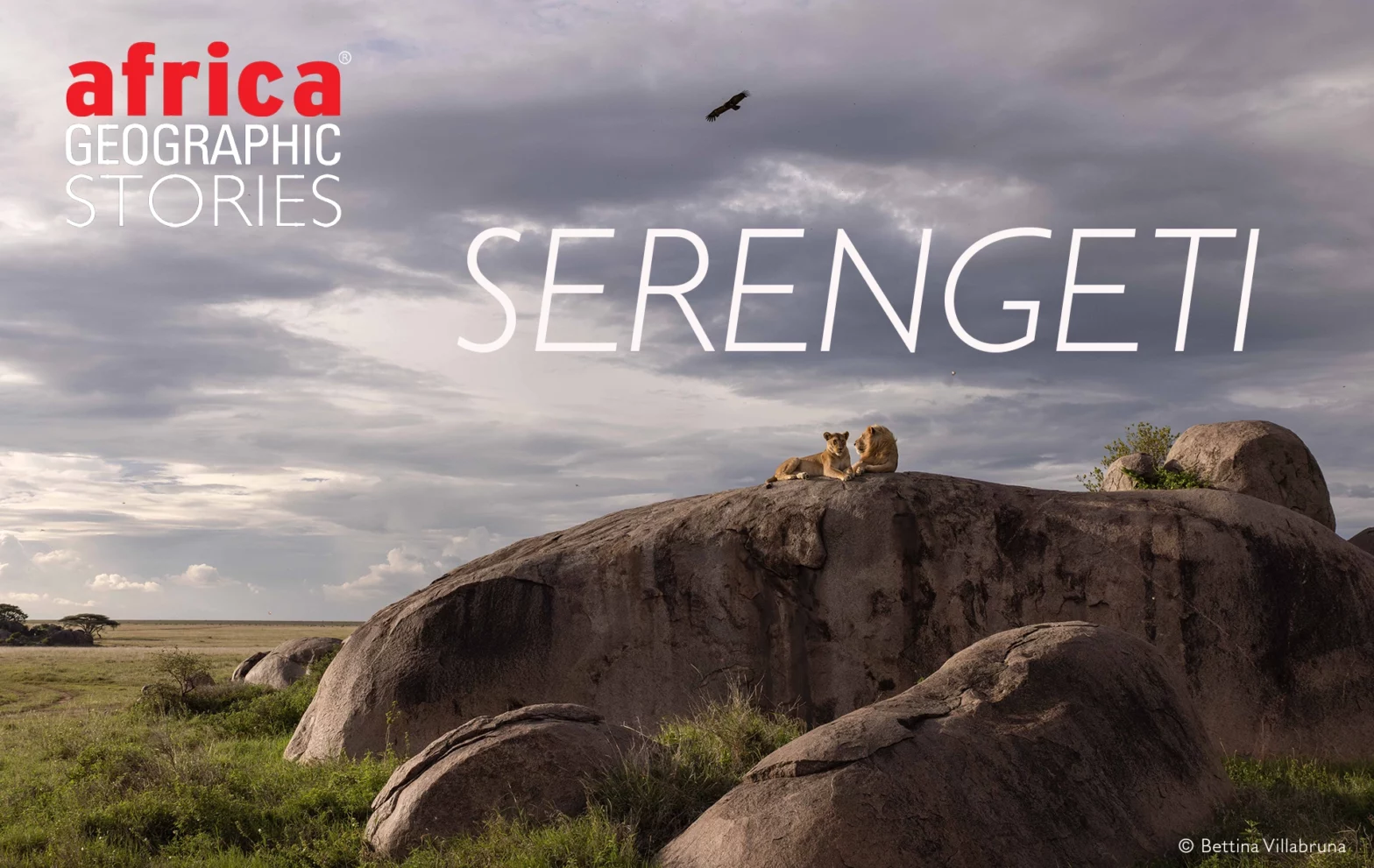 Serengeti