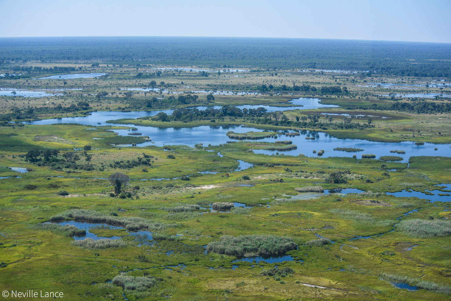 Understanding The Okavango Delta - Africa Geographic