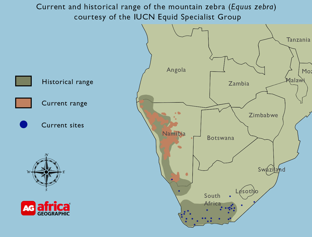Mountain Zebra Distribution 2 Africa Geographic