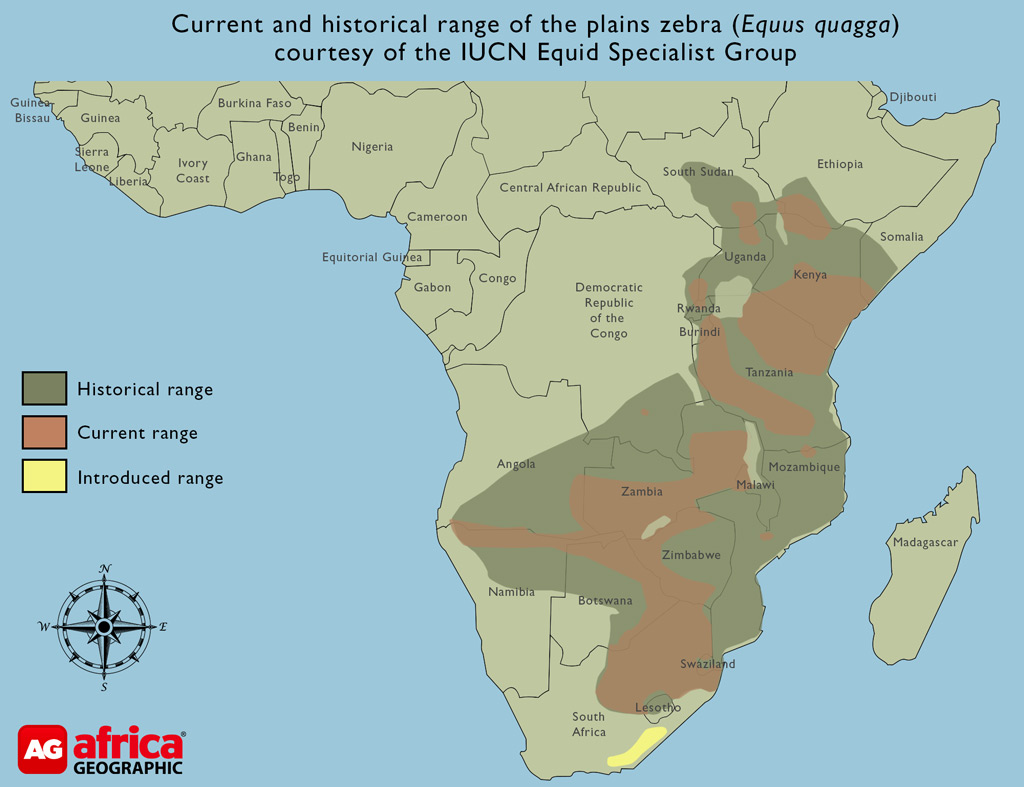 zebras in africa map