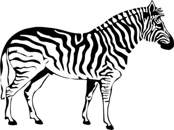 zebra clipart images