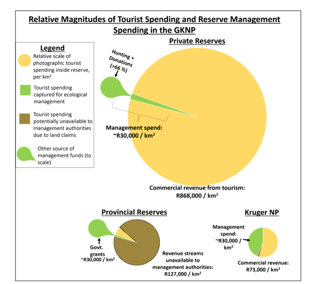 kruger national park case study