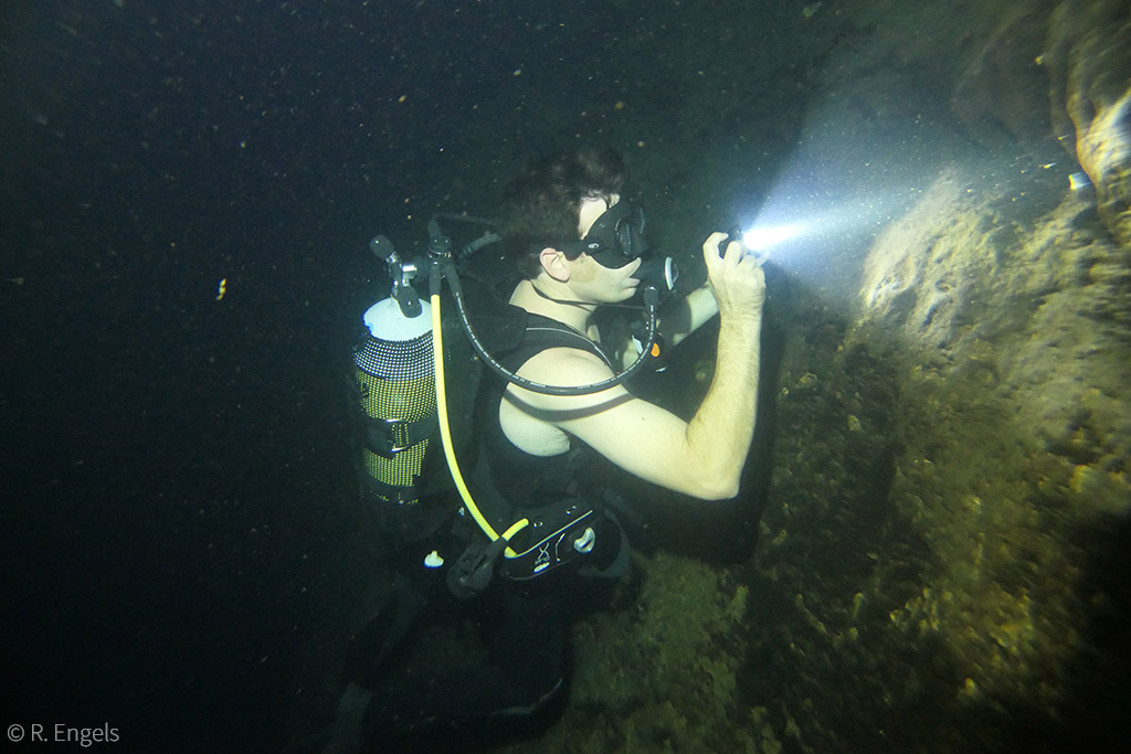 blind cave catfish