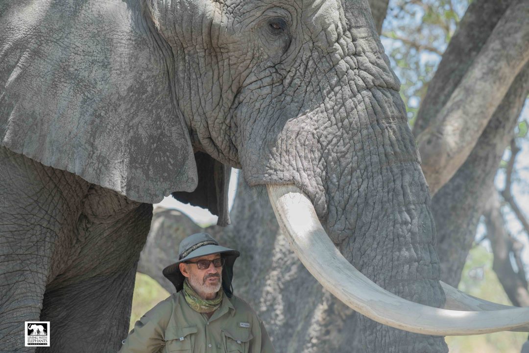 Elephant sanctuary owner Doug Groves killed by wild elephant in