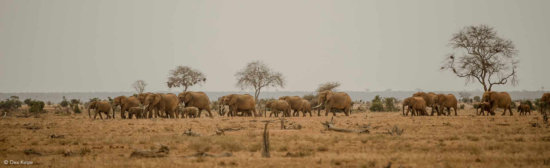 Tsavo East Tsavo West National Park