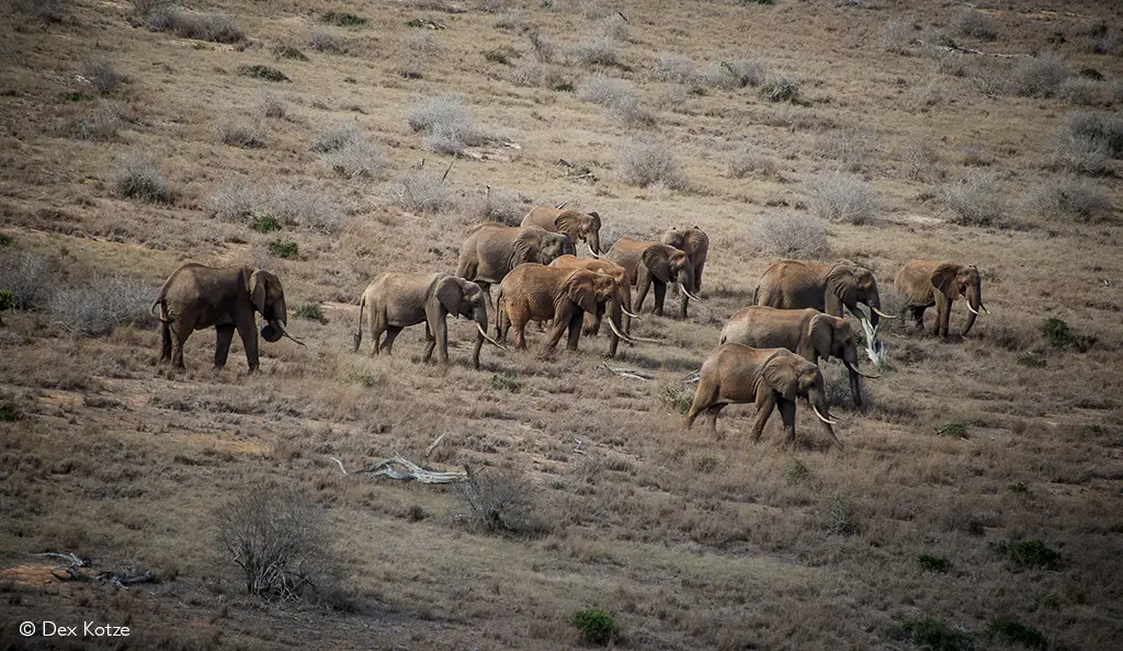 Tsavo East Tsavo West National Park