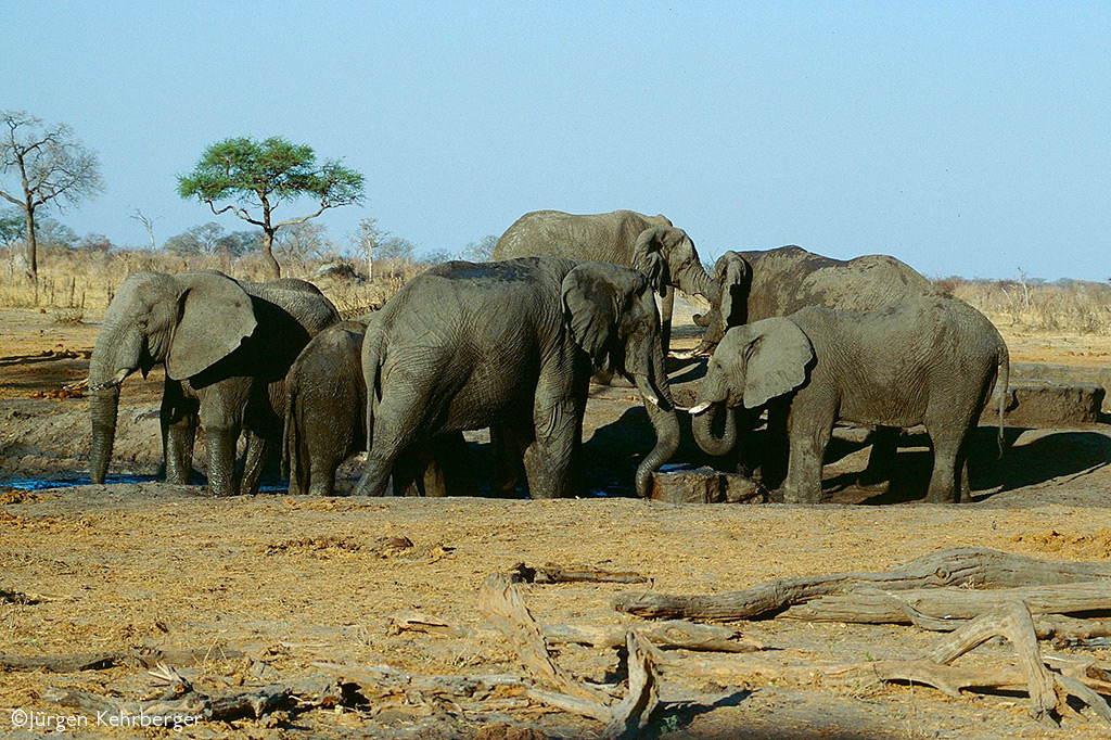 coal-mining-in-hwange-national-park-africa-geographic