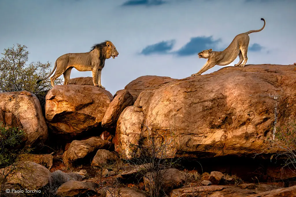 Tsavo East Tsavo West National Park