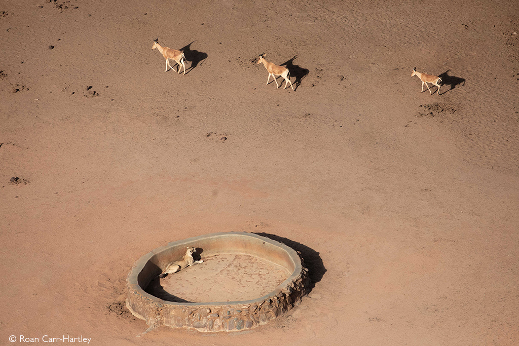 Tsavo East Tsavo West National Park