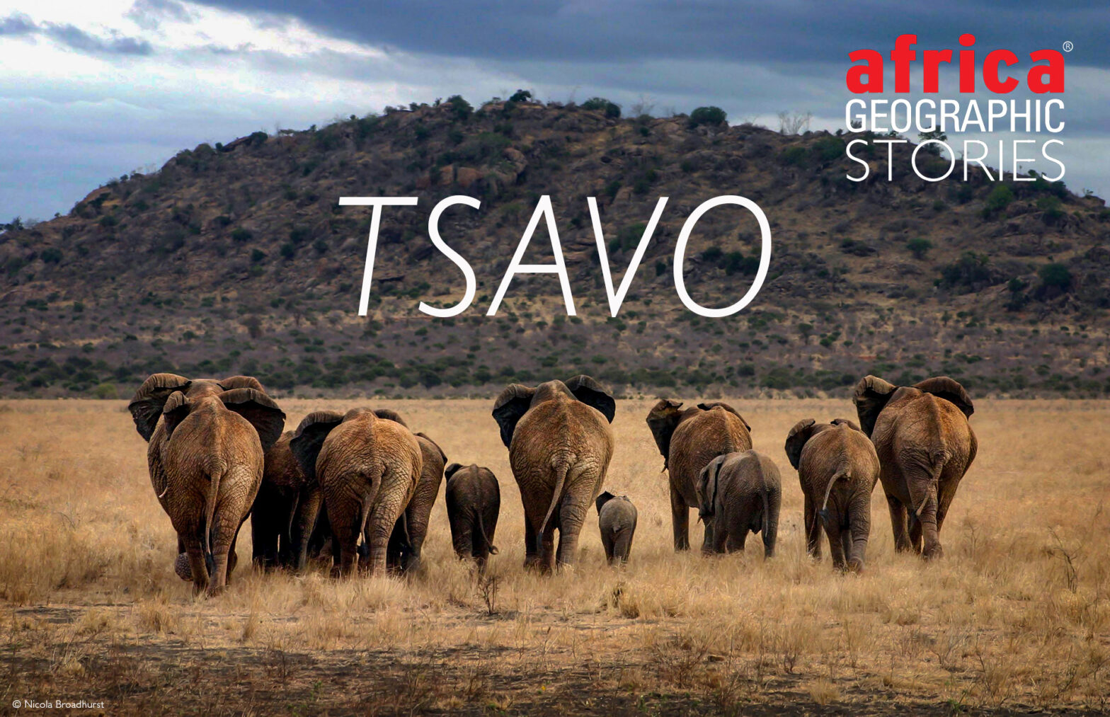 Tsavo East Tsavo West National Park