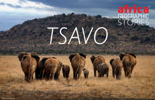 Tsavo East Tsavo West National Park