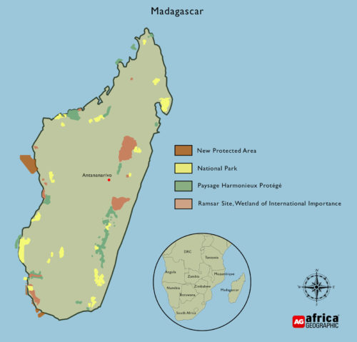 Lemurs Of Madagascar - Africa Geographic