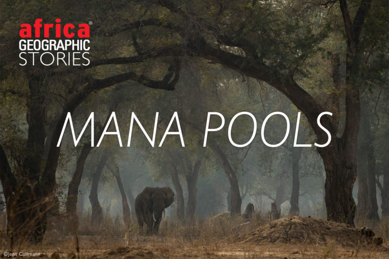 safari nation with mana pools