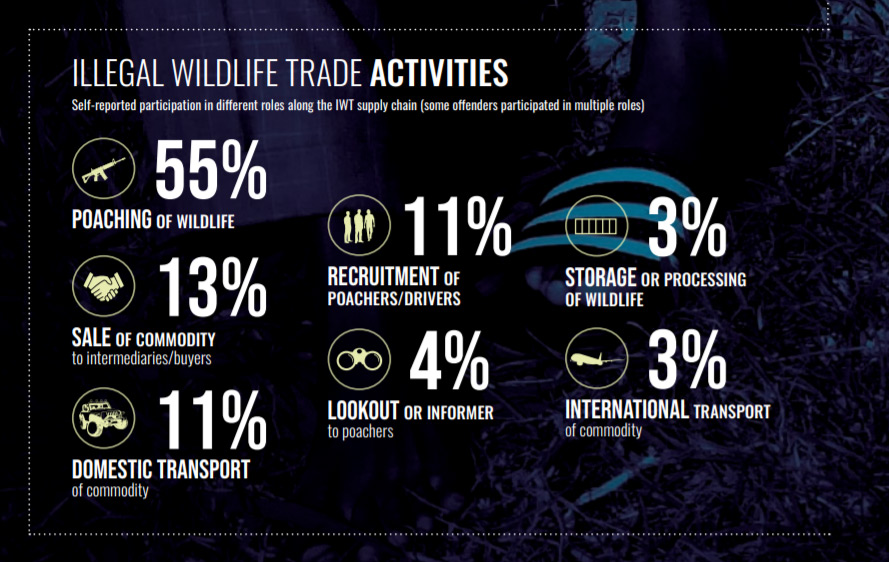 Animal Poaching Statistics