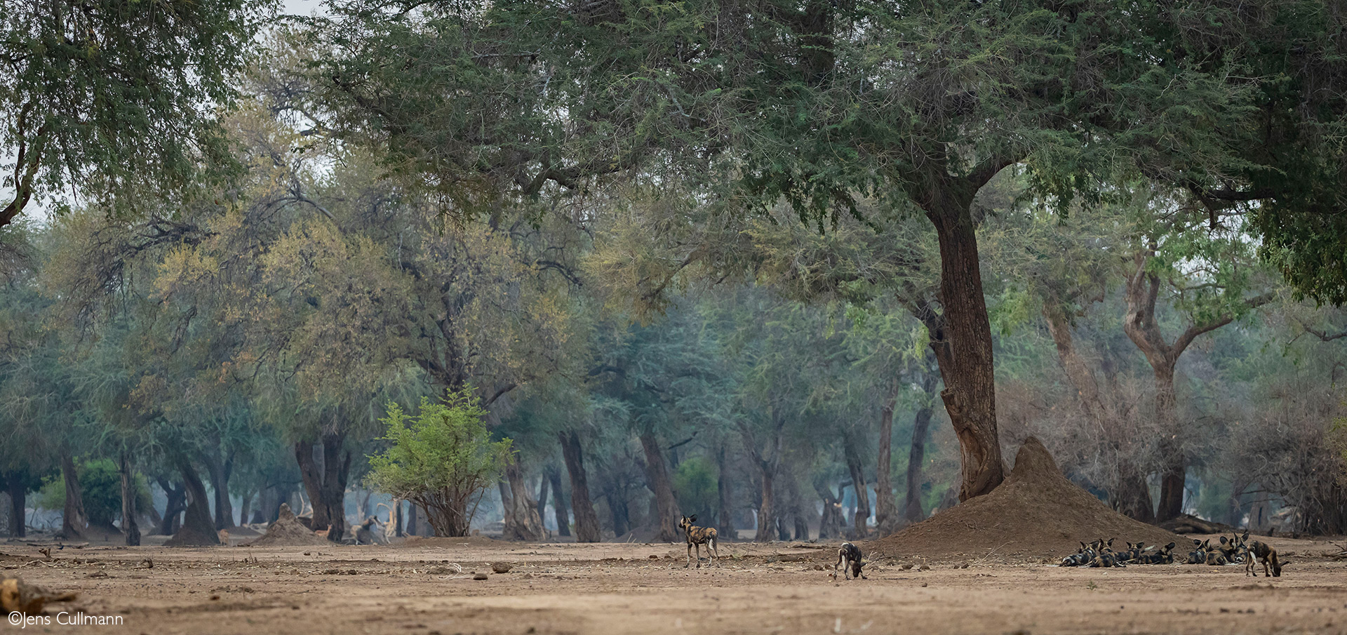 Mana Pools