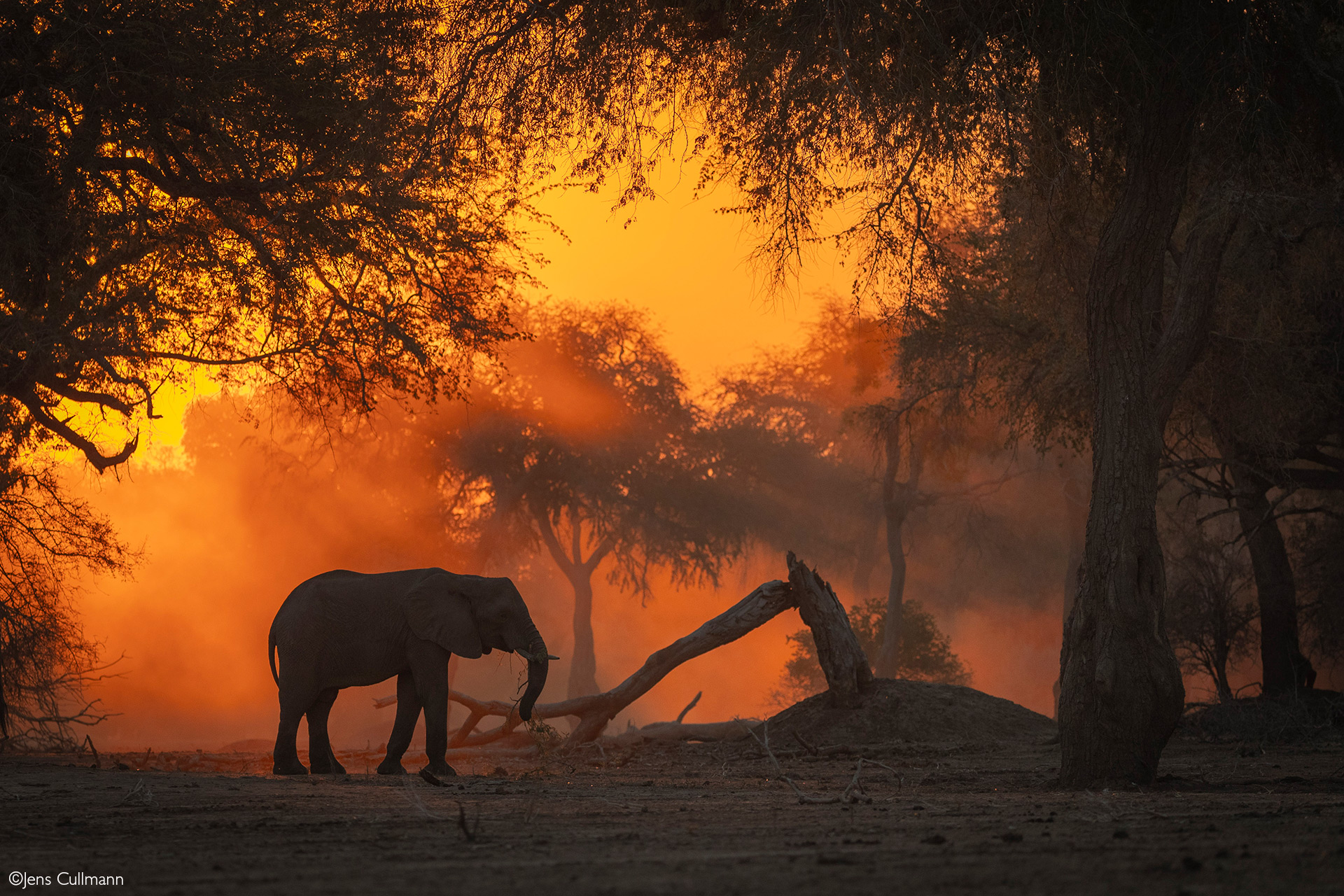 Mana Pools