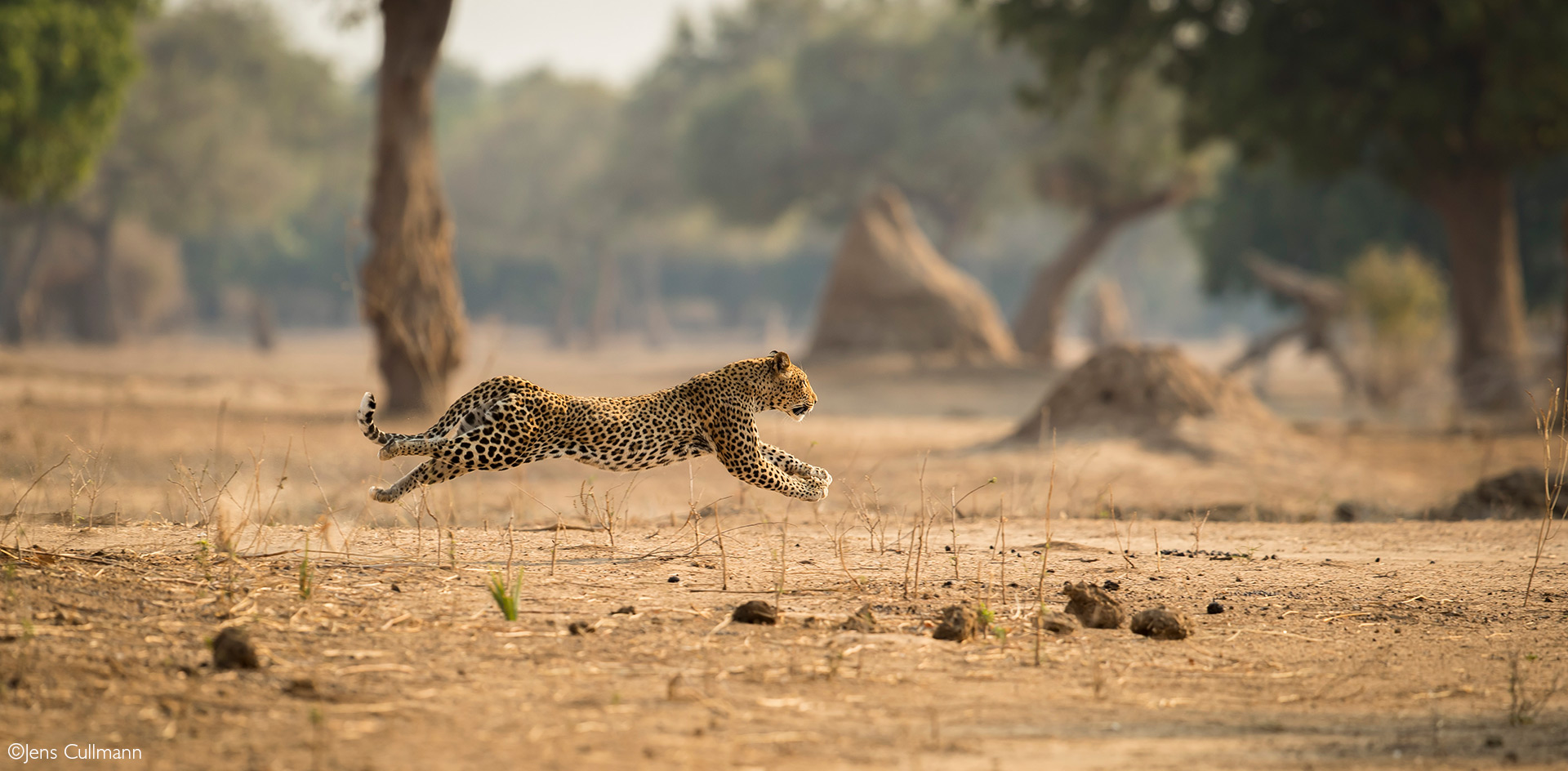 Mana Pools