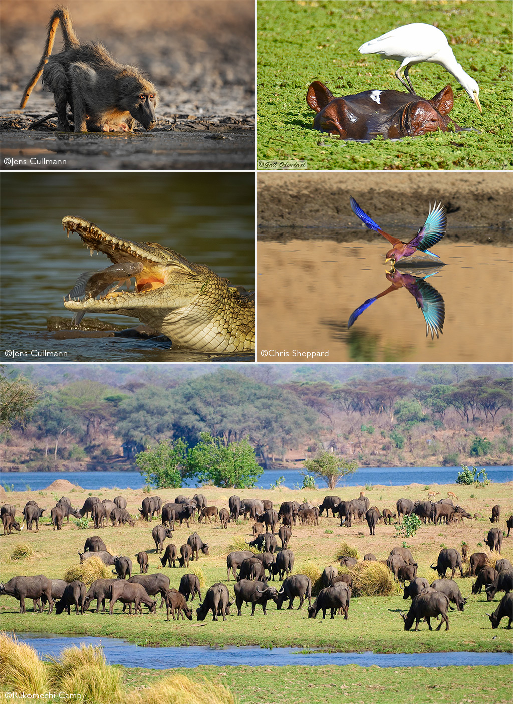 Mana Pools