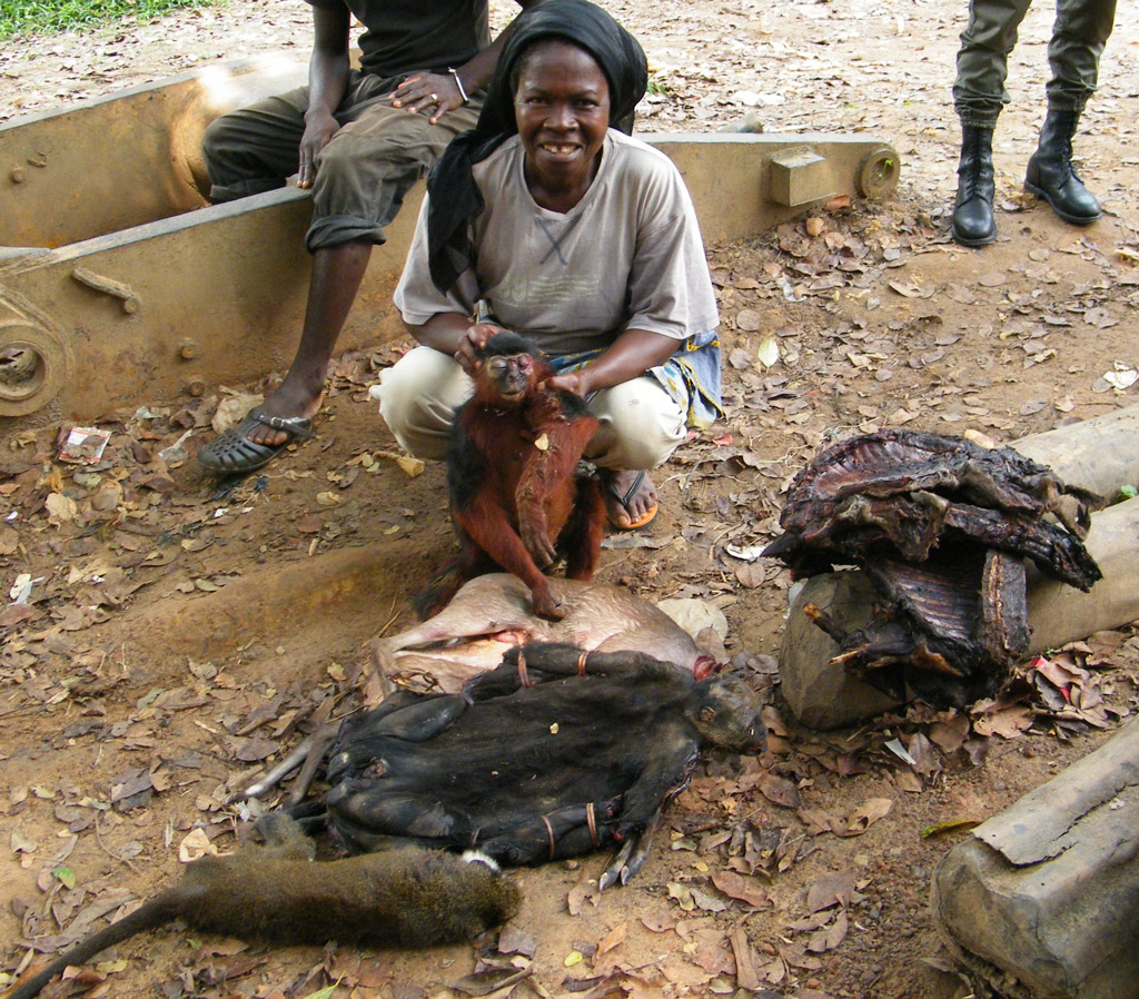 bushmeat