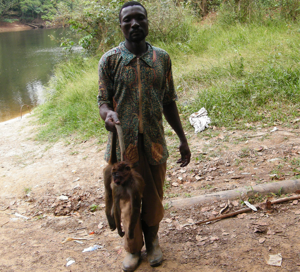 bushmeat