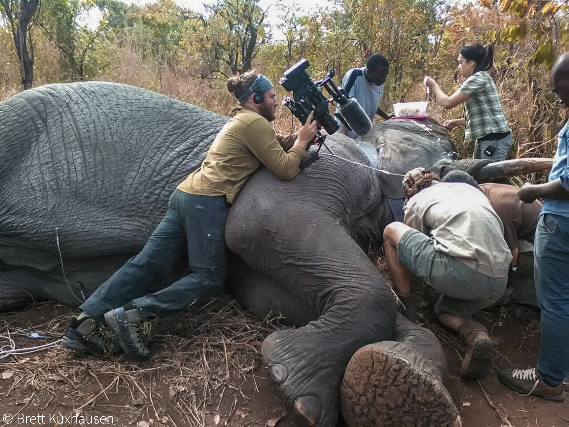 Gorongosa