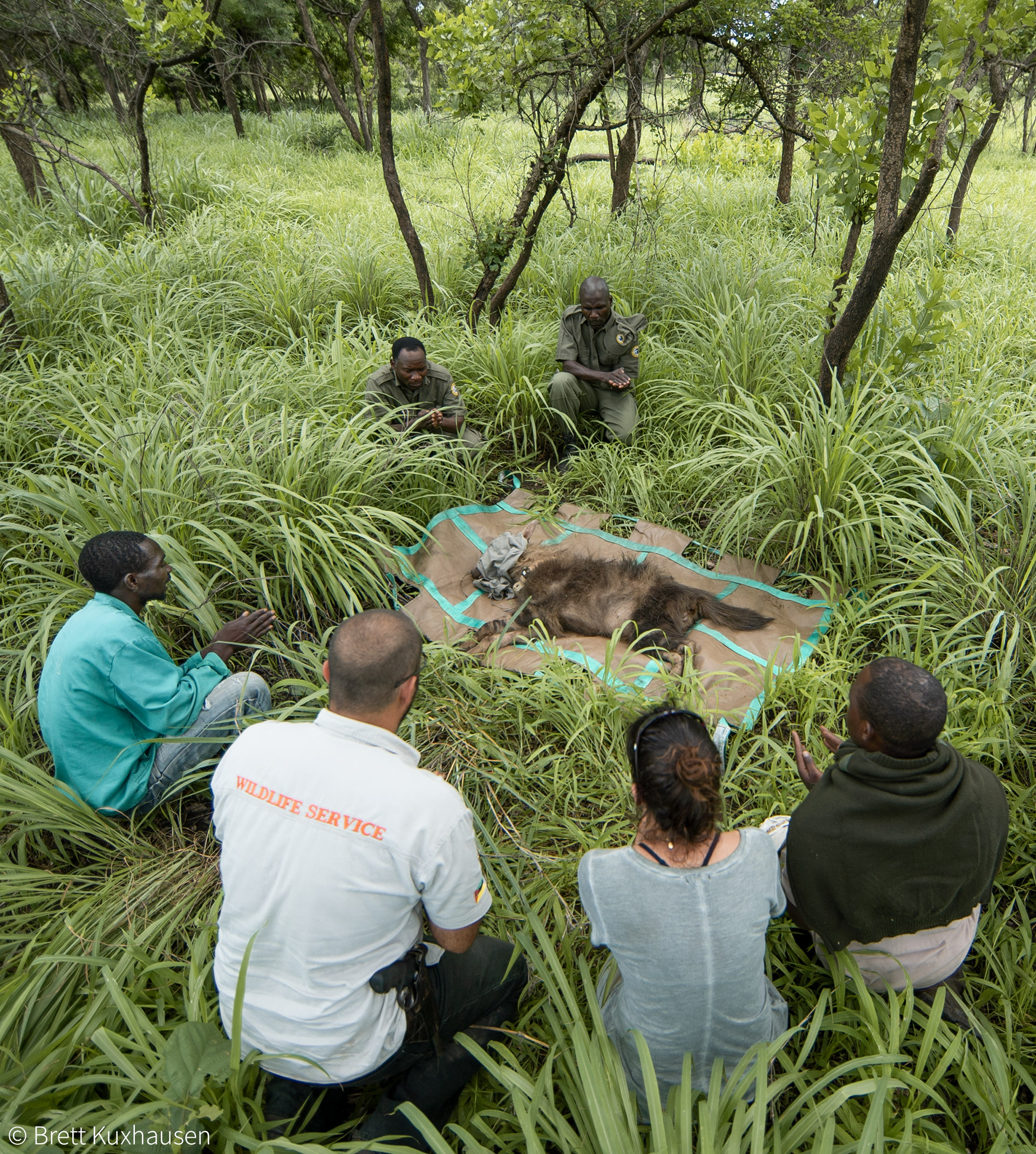 Gorongosa