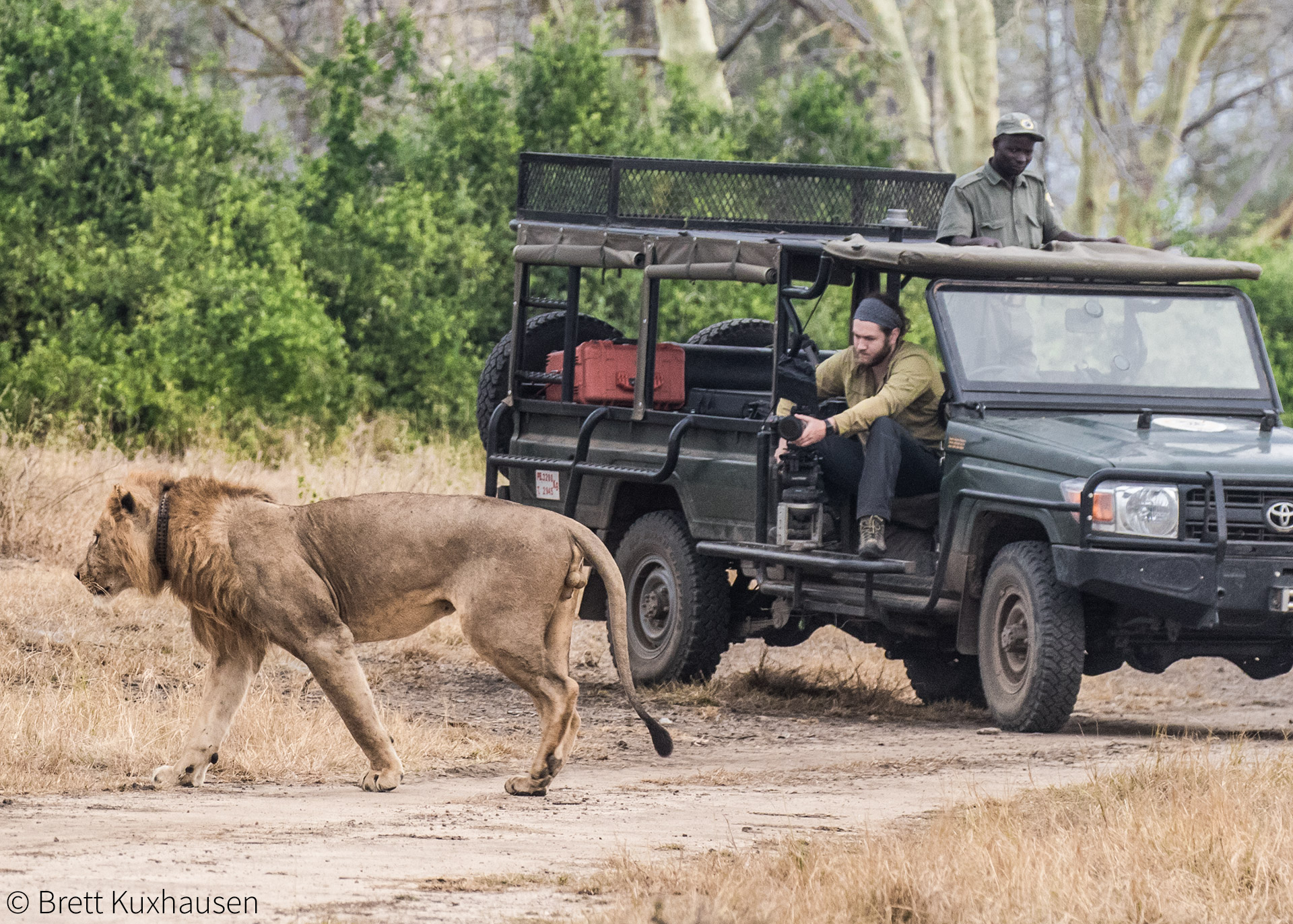 Gorongosa