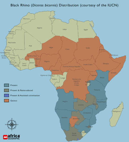 black-rhino-distribution-4 - Africa Geographic