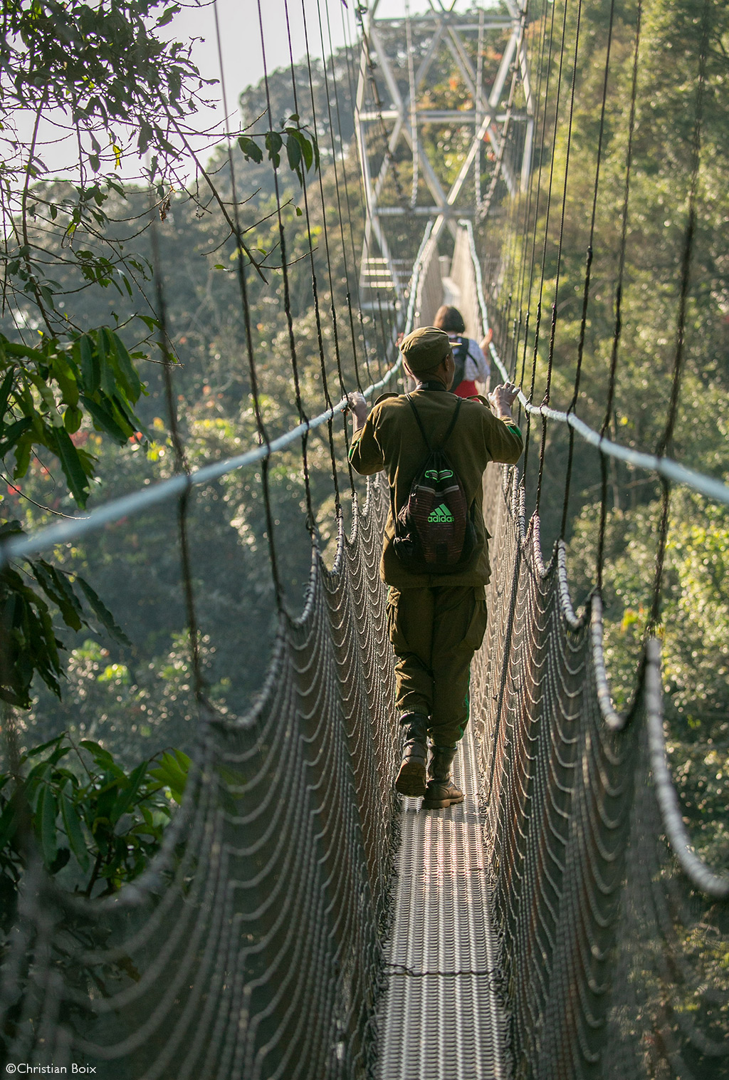 Nyungwe National Park