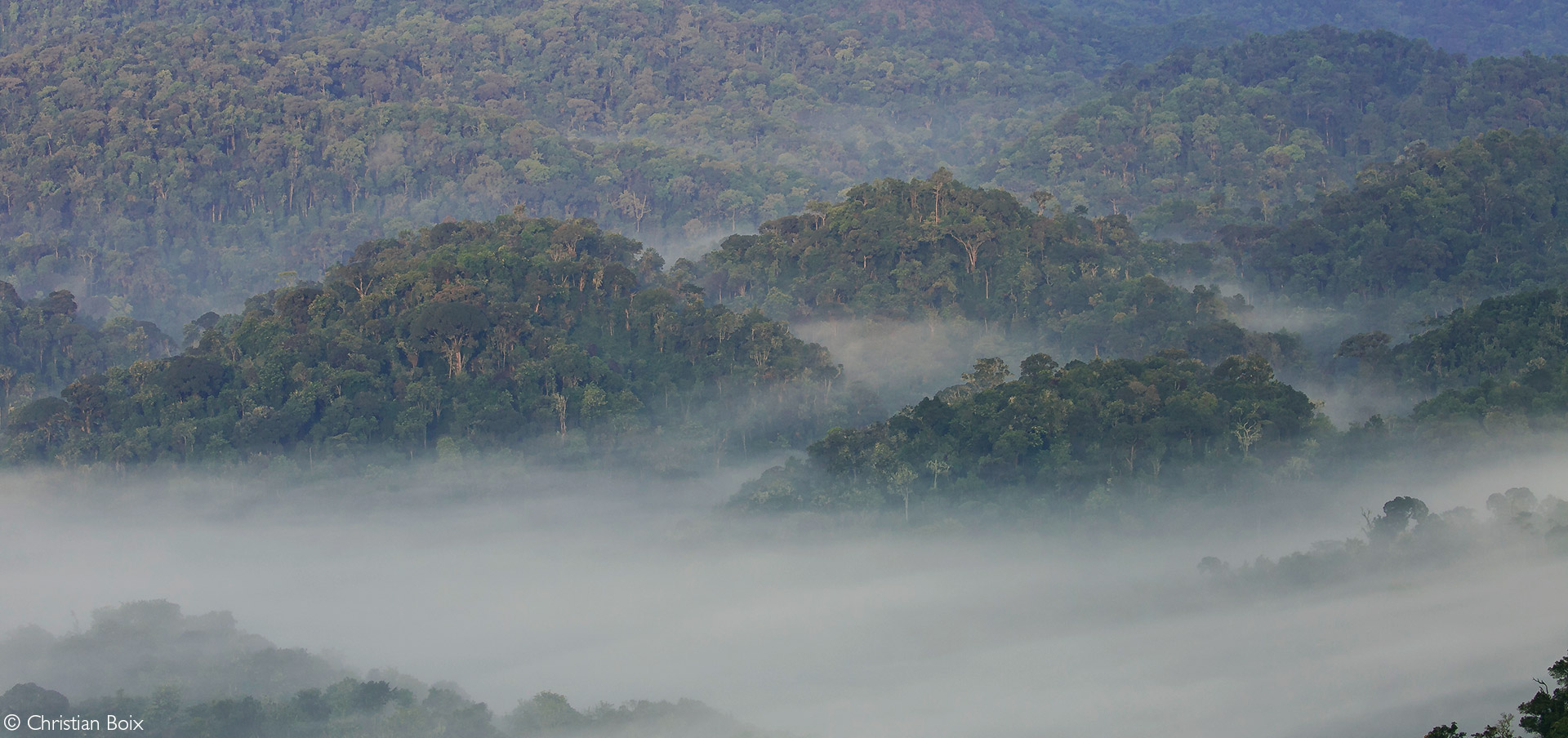 Nyungwe National Park