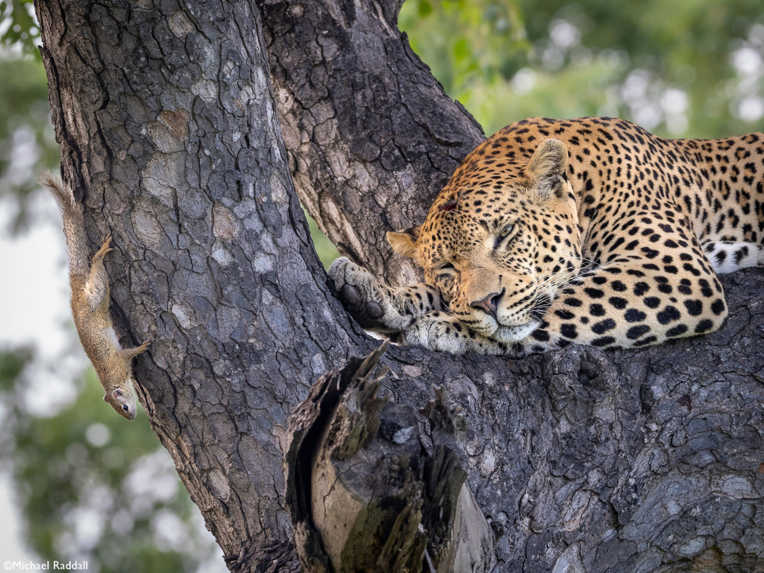 Photographer of the Year 2021 Weekly Selection: Week 1 - Africa Geographic