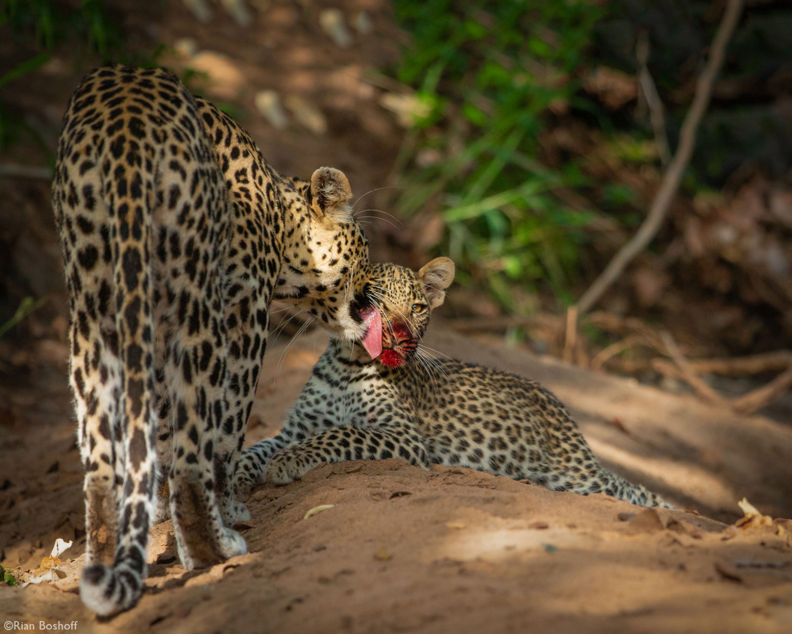 Photographer of the Year 2021 Weekly Selection: Week 1 - Africa Geographic