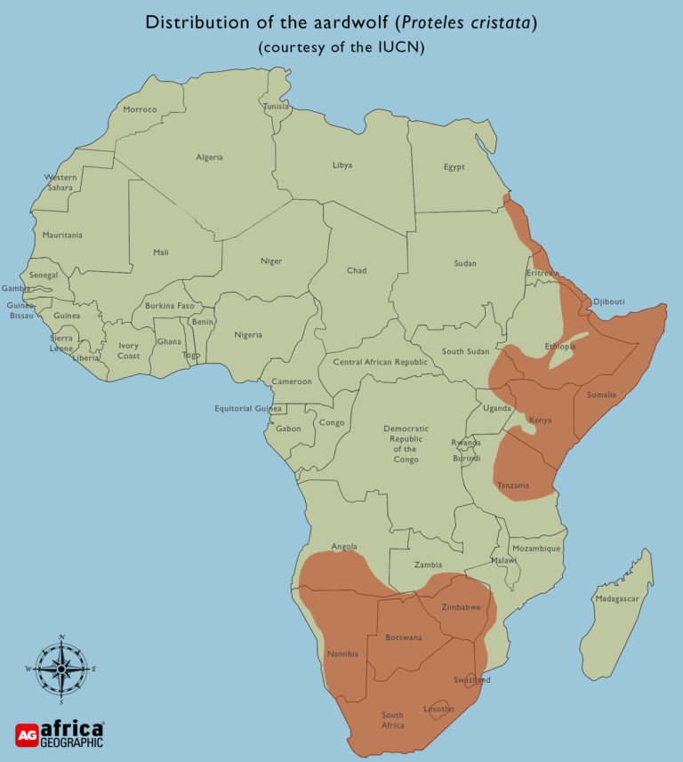 Aardwolf - Africa Geographic