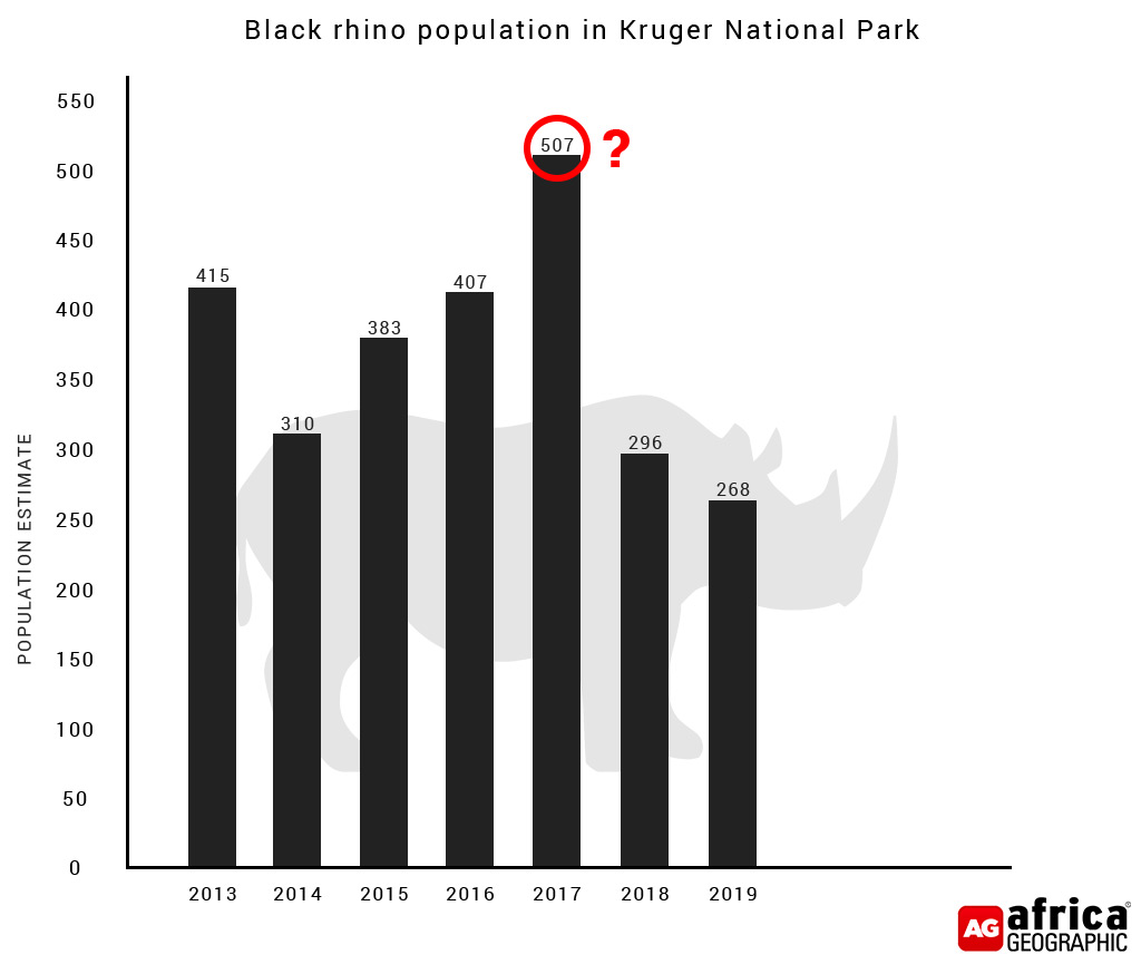 Kruger rhino populations plummet latest official stats Africa