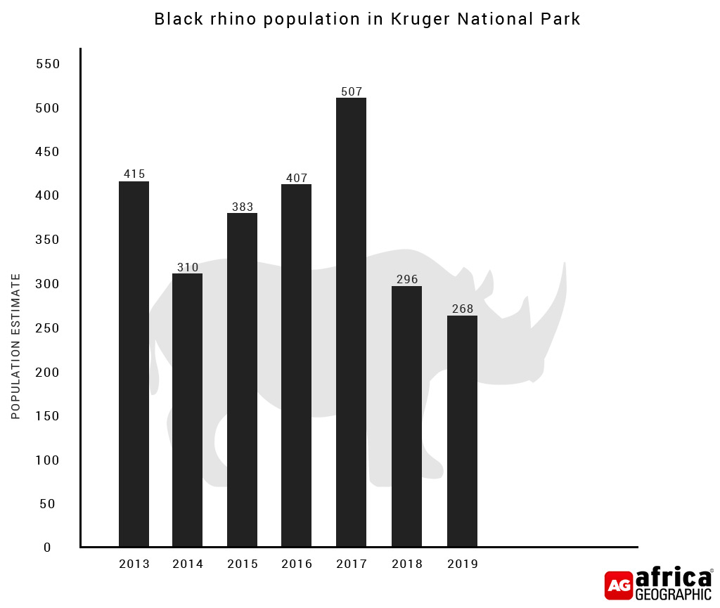 blackrhinopopulationinKNP Africa Geographic