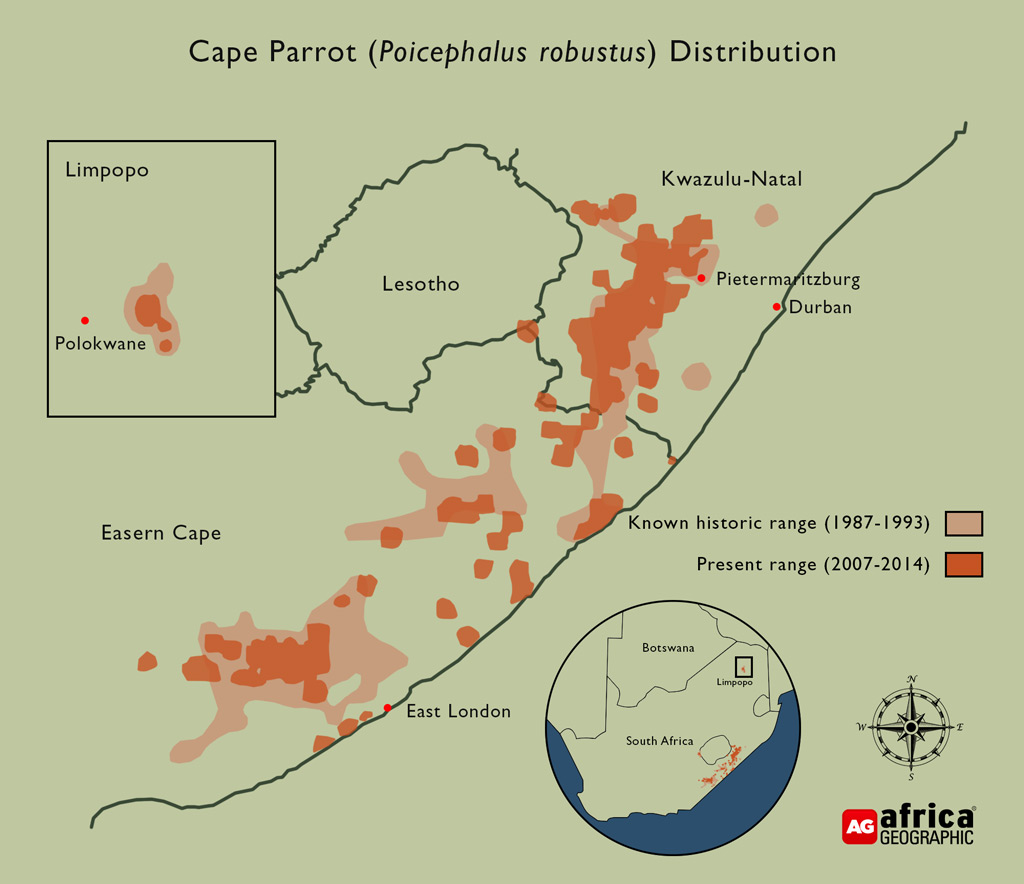 parrot habitat map