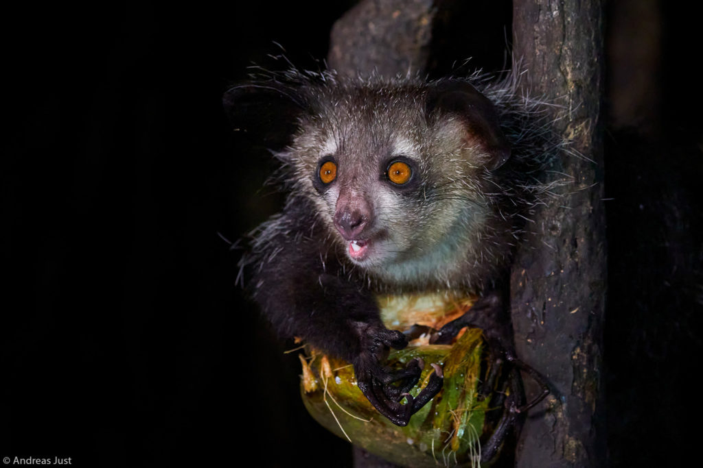 Photographer of the Year 2021 Weekly Selection: Week 4 - Africa Geographic