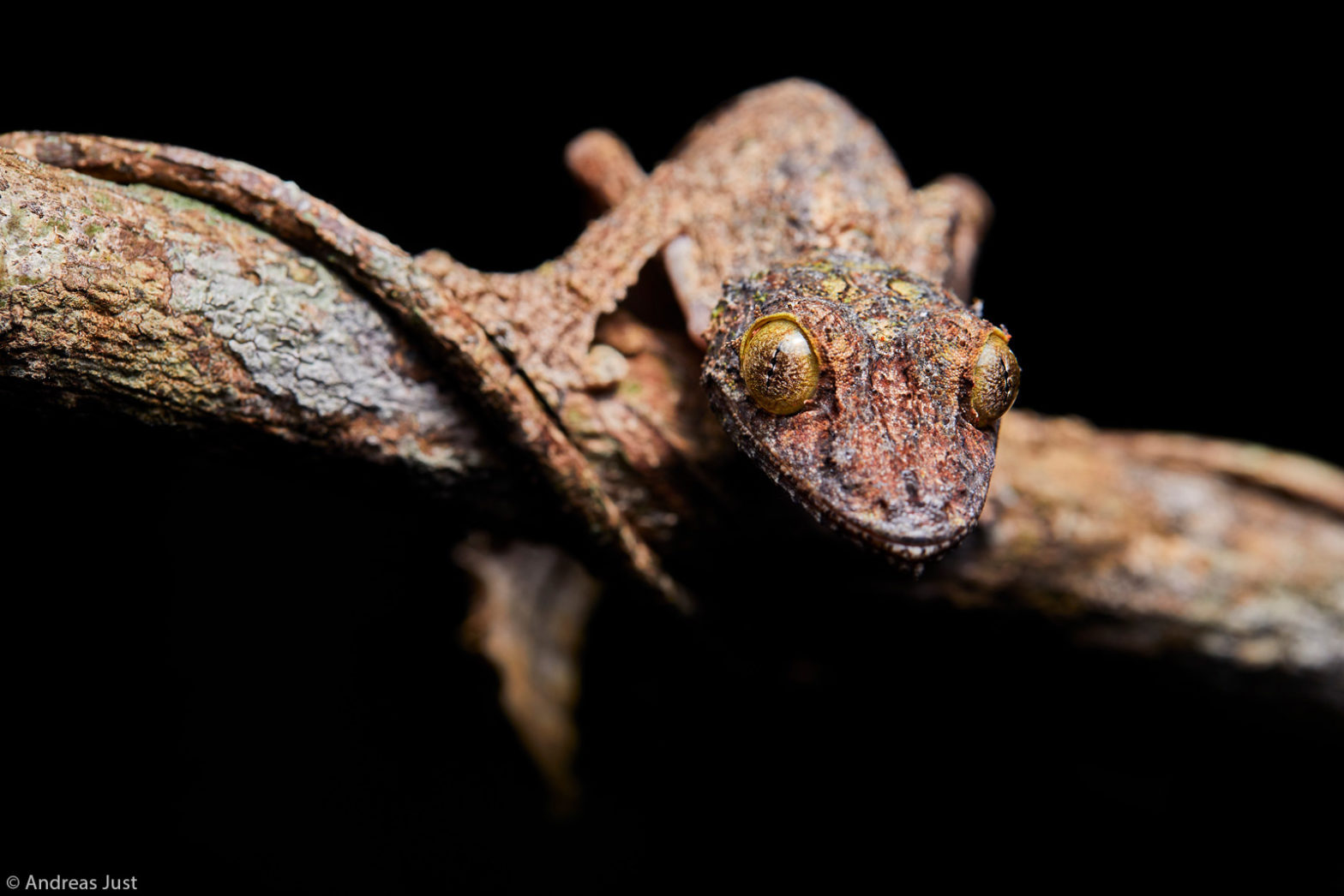 Photographer of the Year 2021 Weekly Selection: Week 5 - Africa Geographic