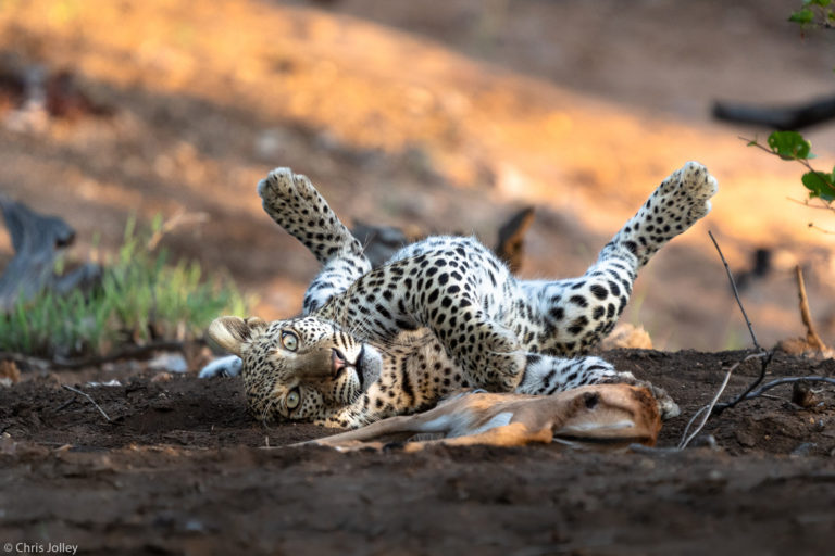 Photographer of the Year 2021 Weekly Selection: Week 7 - Africa Geographic