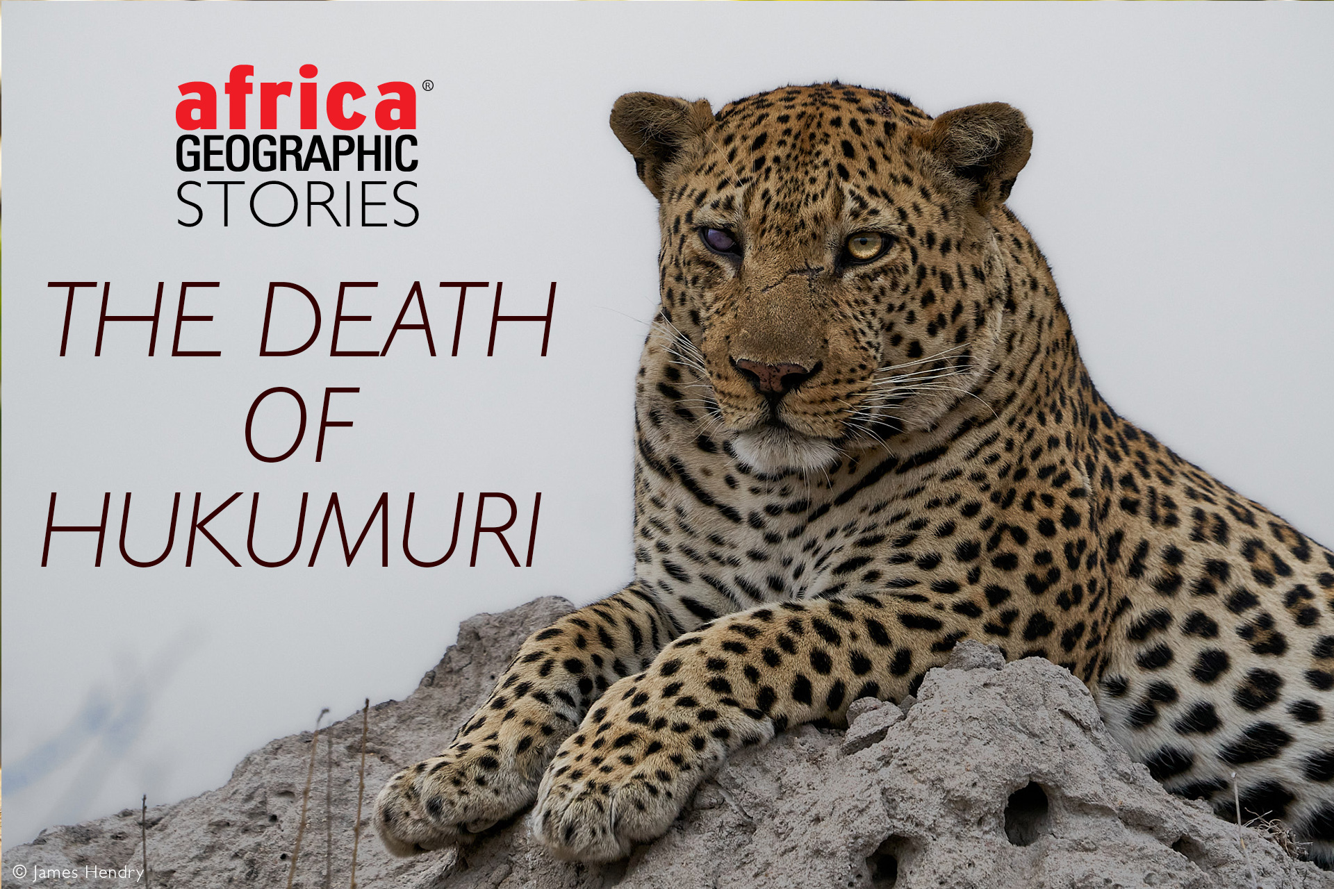 The death of Hukumuri - Africa Geographic