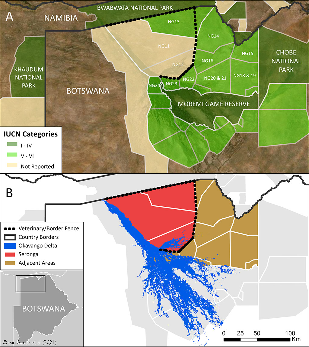 elephant deaths