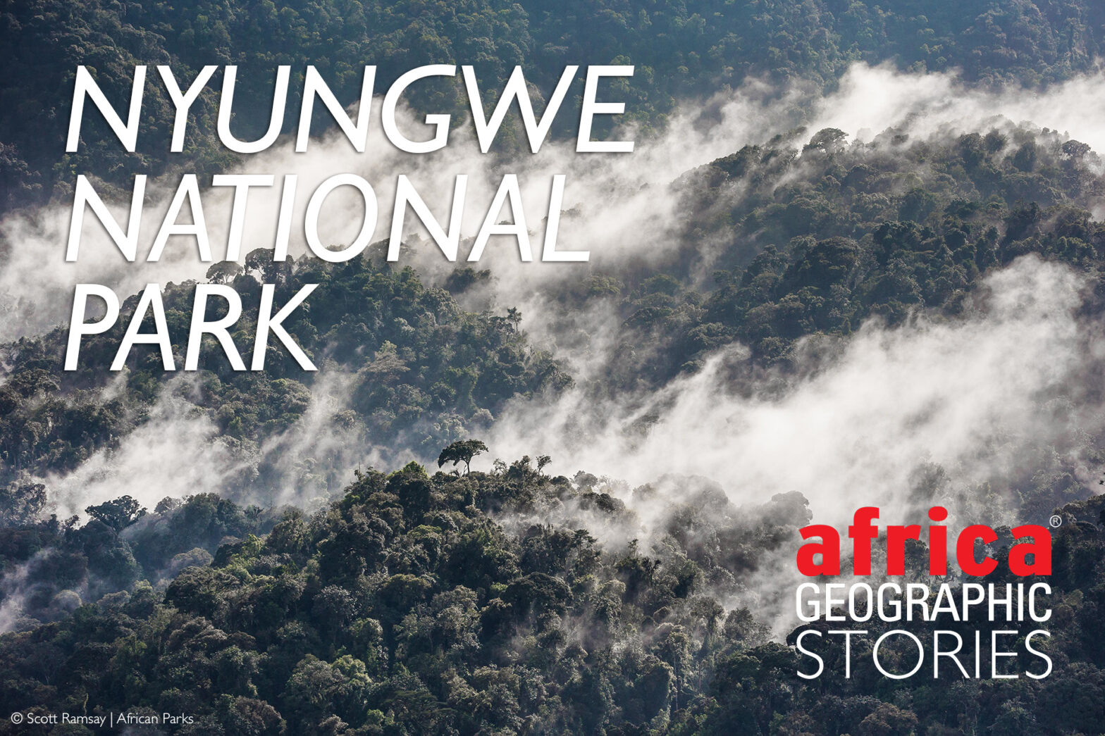 Nyungwe