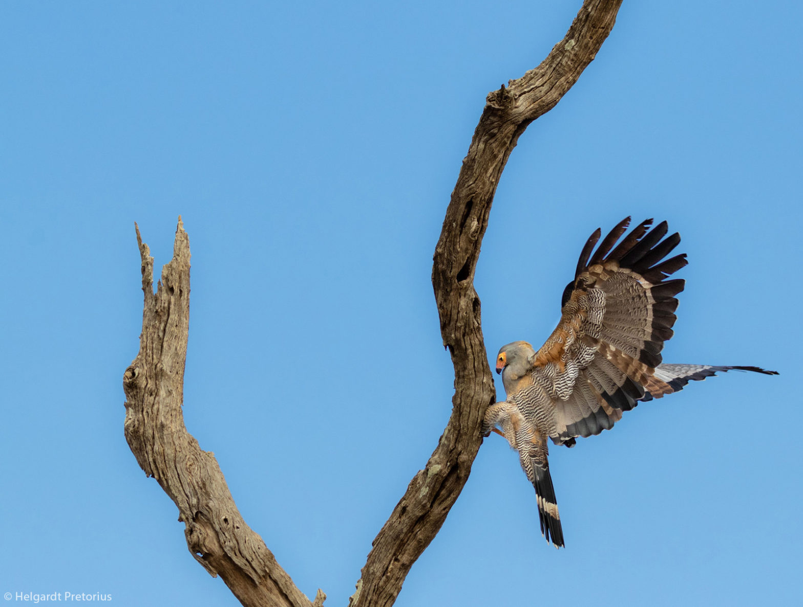 Photographer of the Year 2021 Weekly Selection: Week 9 - Africa Geographic