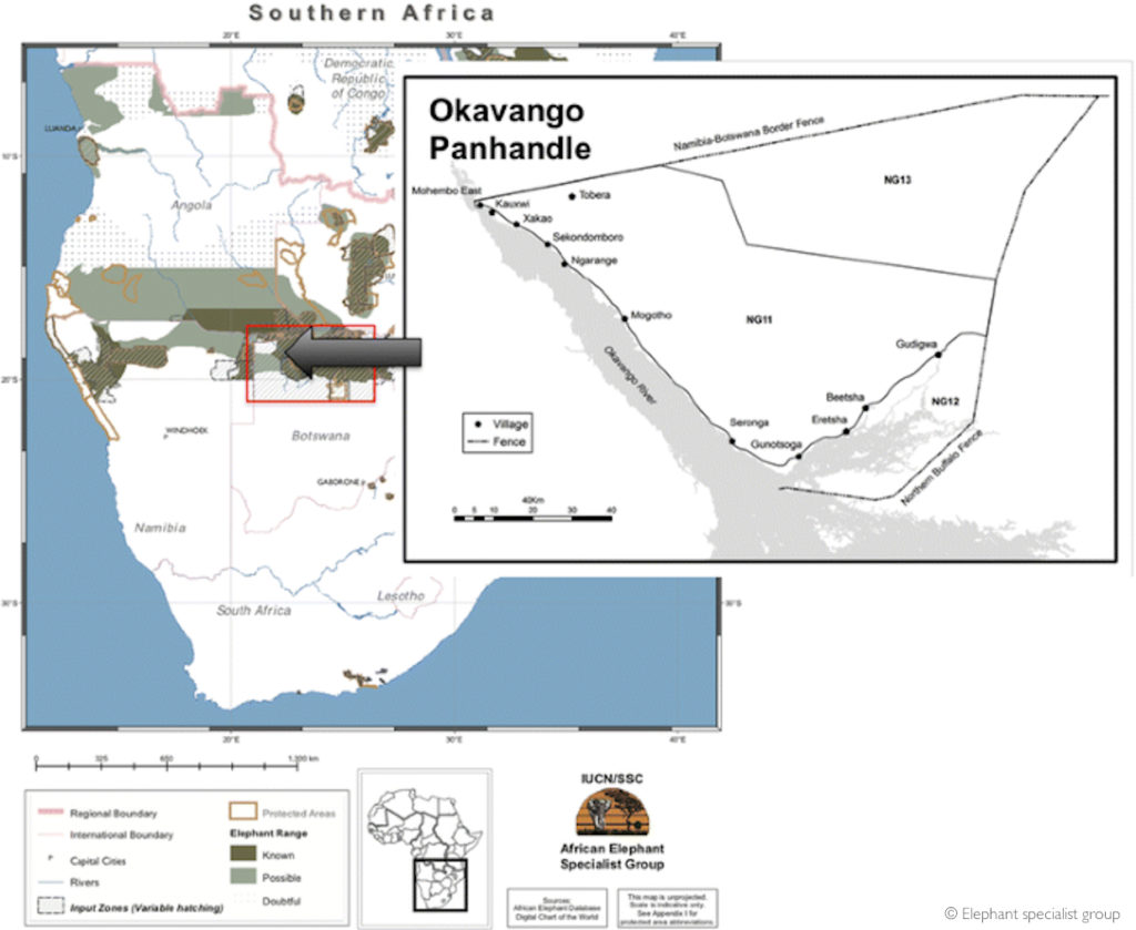 Do fences stop elephant migration in Botswana? - Africa Geographic