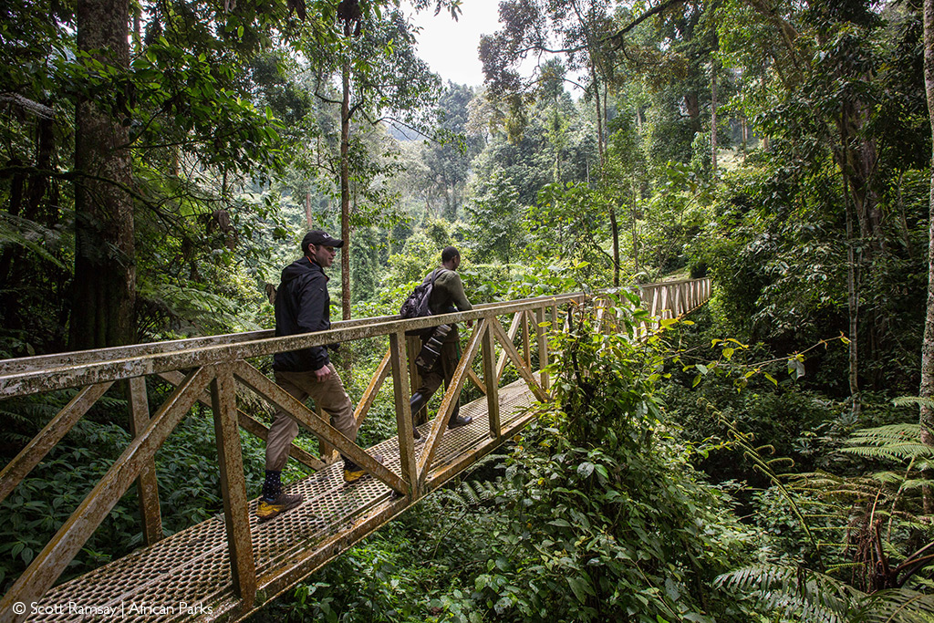 Nyungwe National Park