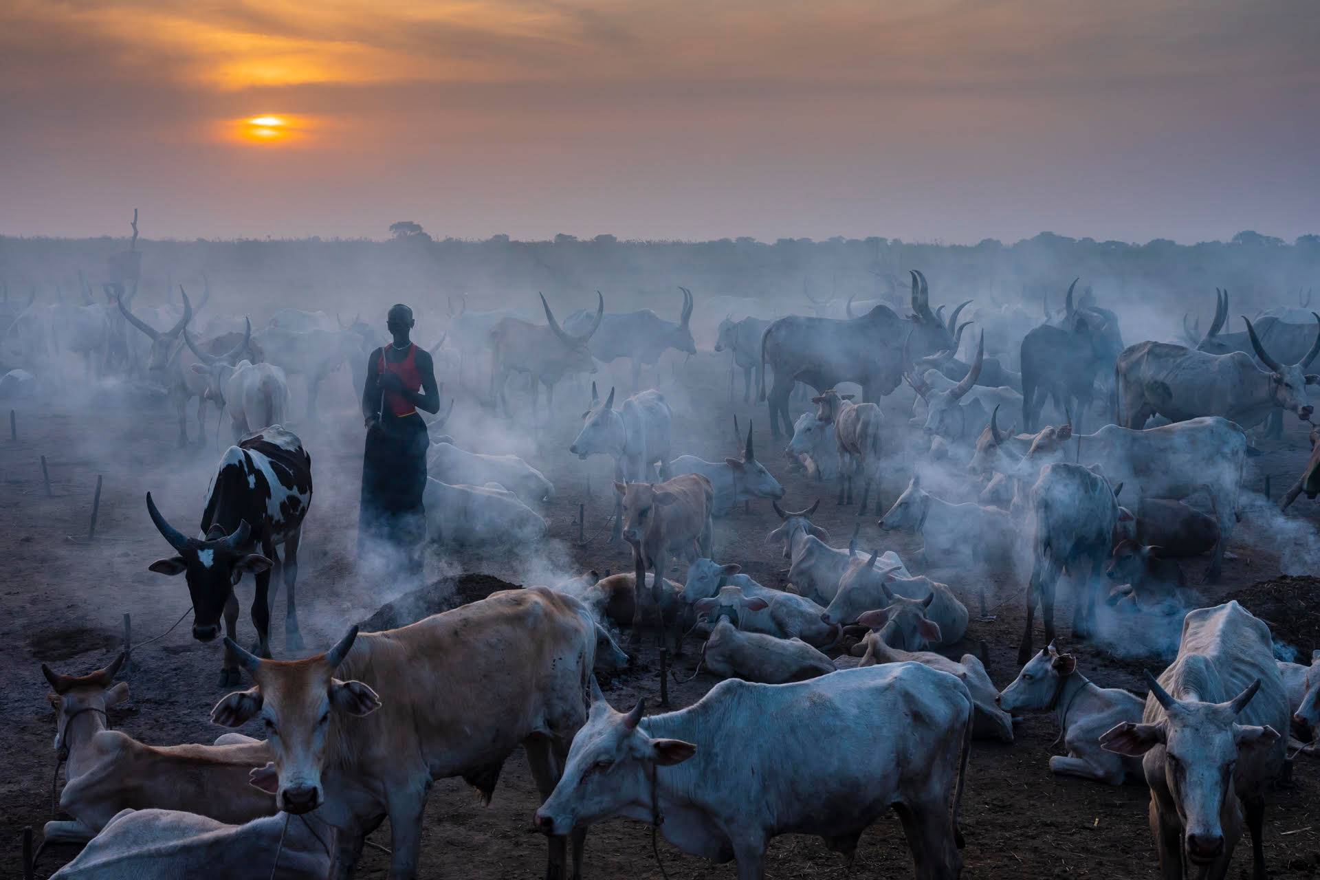 Mundari 