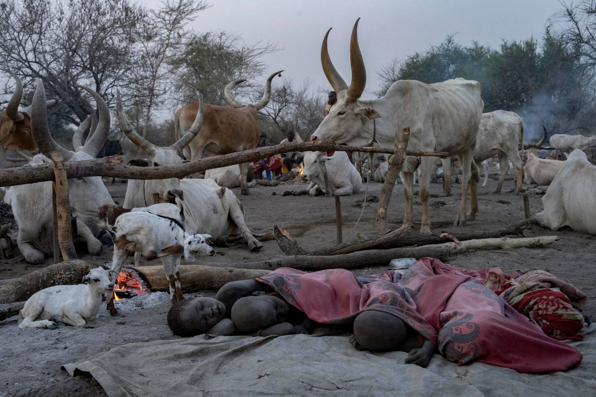 Mundari 