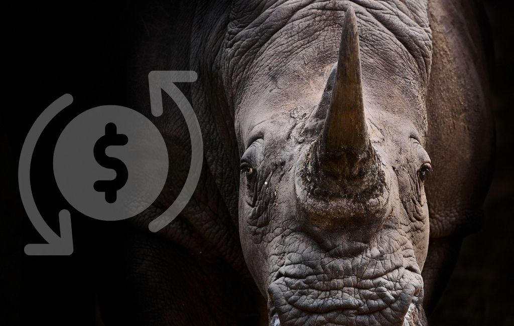 Banks must help fight illegal wildlife trade