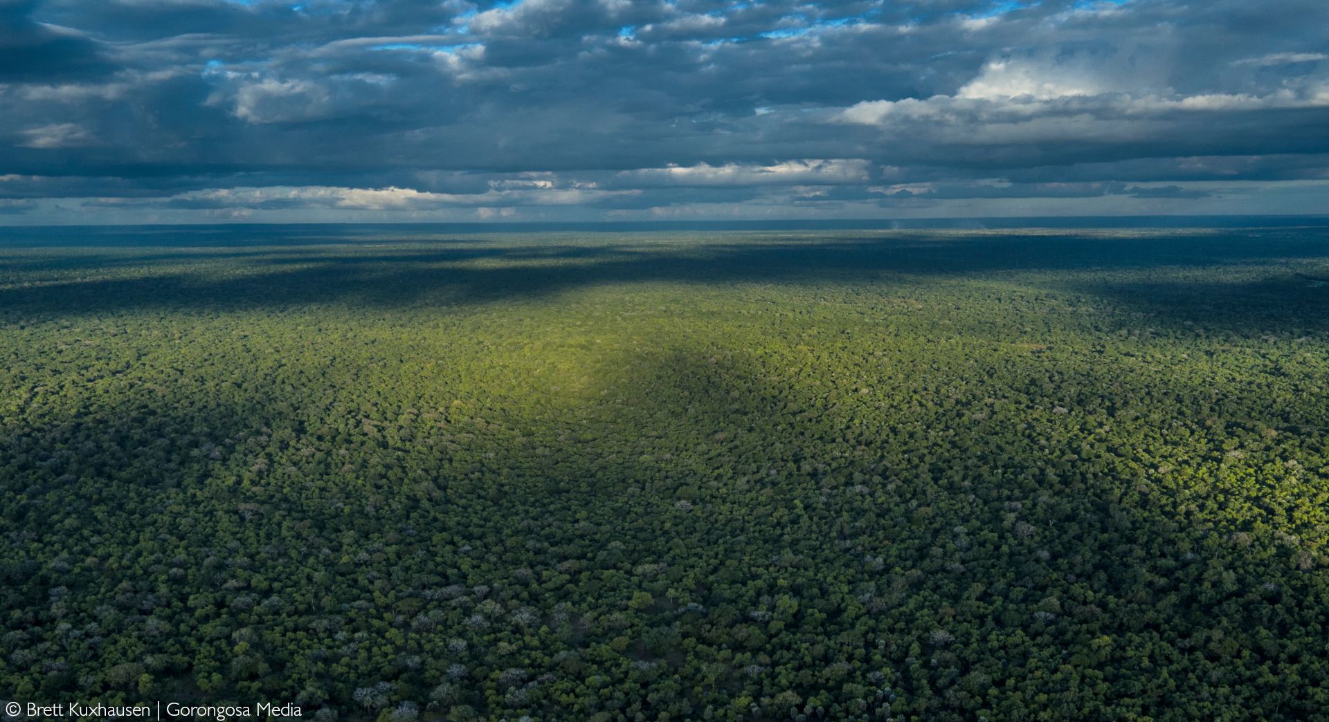 The restoration of Gorongosa National Park - Africa Geographic